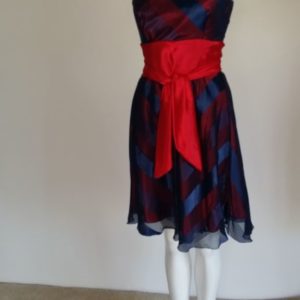 Blue Striped Silk Chiffon Halterneck Dress on Red Satin