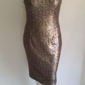 Silver Sequinned Evening Dress
